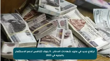 ارتفاع جديد في عائد شهادات الادخار.. 9 بنوك تتنافس لدعم الاستثمار بالجنيه في 2025